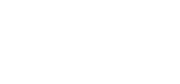 ranking ヒト部門